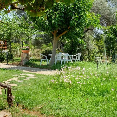 Villa Thalia Chania *