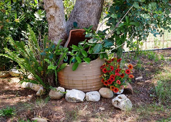 ヴィラ Thalia Chania *